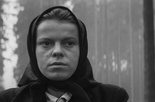 Повозка в Вену (1966) - фото 1