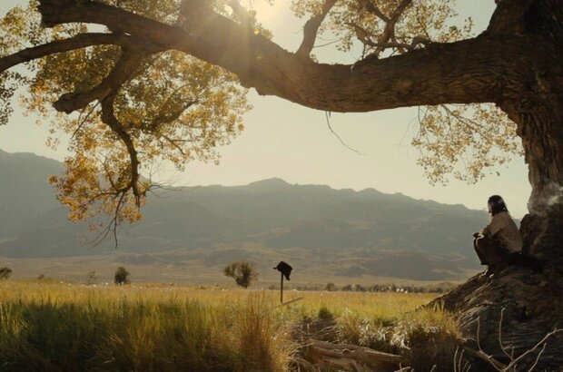 Road to Paloma (2015) - photo 9