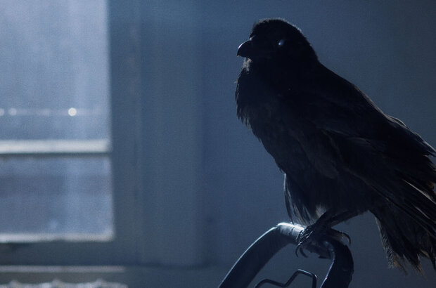 Vertolet (2021) - photo 7