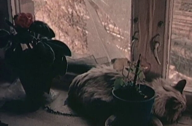 Fatal Mistake (1988) - photo 8