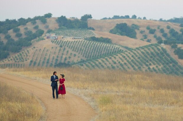 Destination Wedding (2018) - photo 2