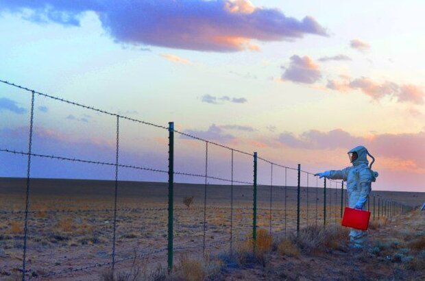 The Signal (2014) - photo 3
