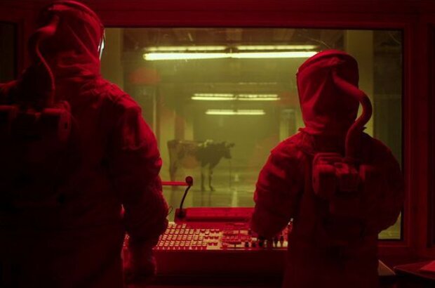 The Signal (2014) - photo 11