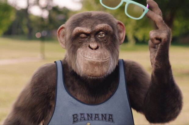 C.I.Ape (2021) - photo 22
