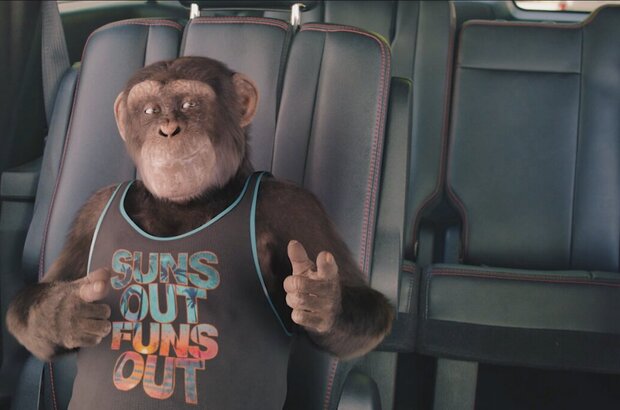 C.I.Ape (2021) - photo 19