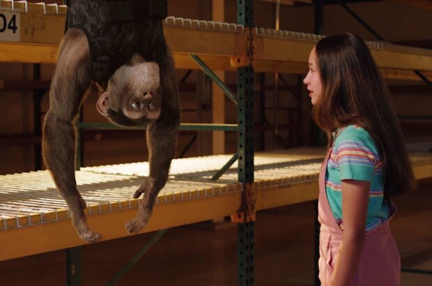 C.I.Ape (2021) - photo 11