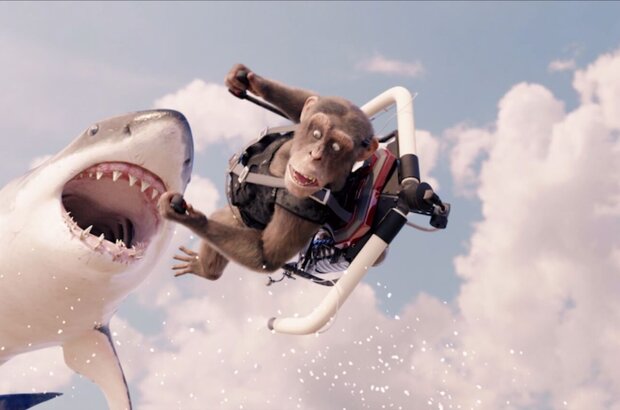 C.I.Ape (2021) - photo 4