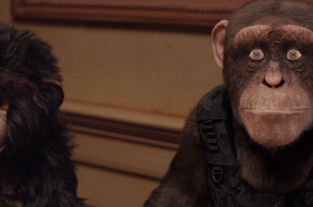 C.I.Ape (2021) - photo 5