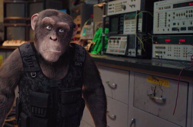 C.I.Ape (2021) - photo 13