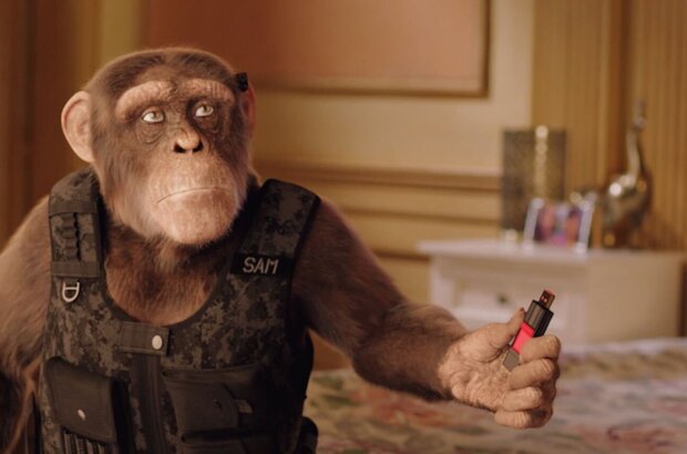 C.I.Ape (2021) - photo 7