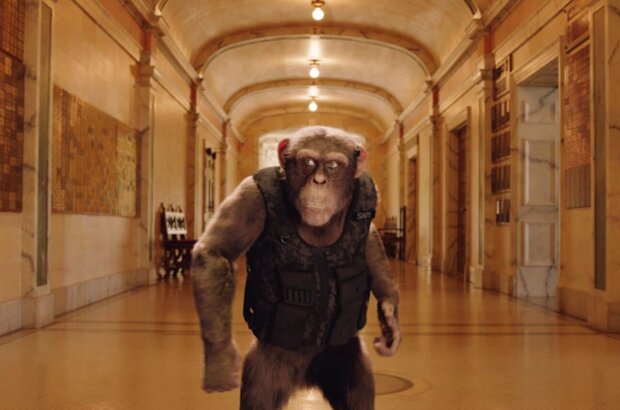 C.I.Ape (2021) - photo 10