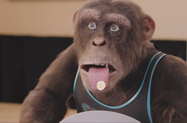 C.I.Ape (2021) - photo 1