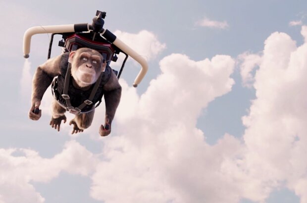 C.I.Ape (2021) - photo 2