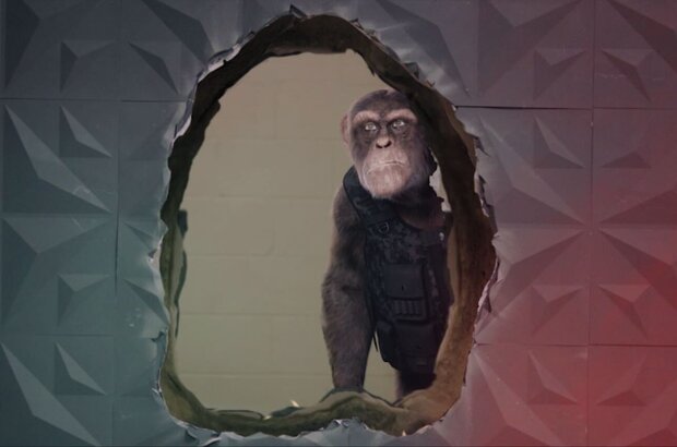 C.I.Ape (2021) - photo 8