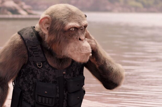 C.I.Ape (2021) - photo 12
