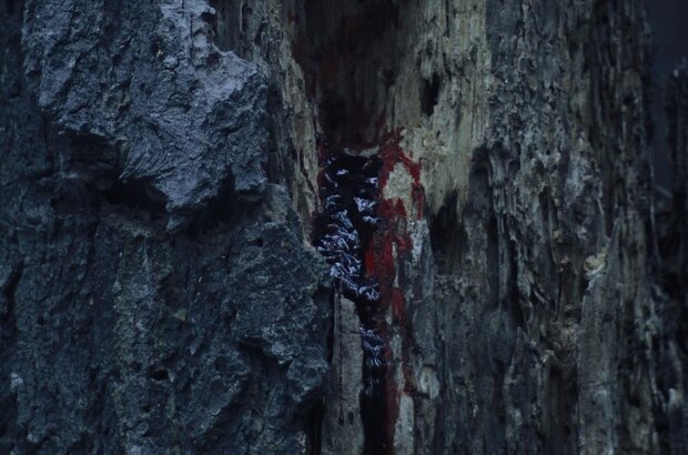 To Die Alone (2024) - photo 7