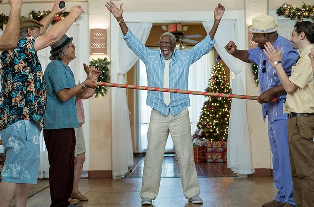 Villa Capri (2017) - photo 4