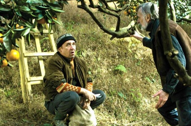 Tangerines (2013) - photo 2