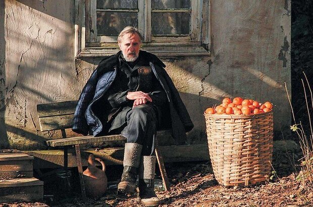 Tangerines (2013) - photo 1
