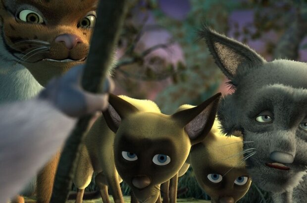 Spirit of the Forest (2008) - photo 7