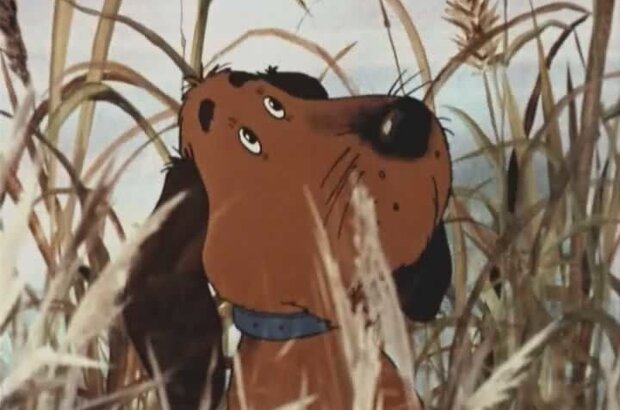 Poslednyaya okhota (1982) - photo 3