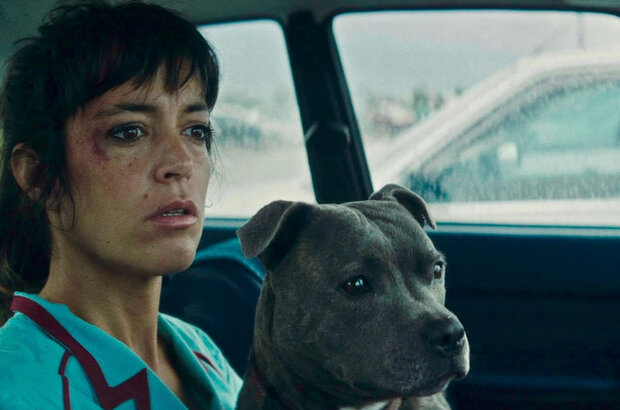 Vincent Must Die (2023) - photo 7