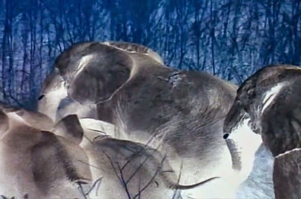 Naqoyqatsi (2002) - photo 4