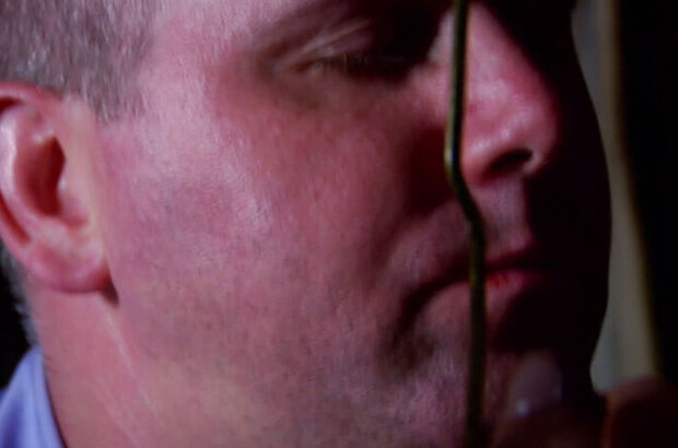 The Cellar Door (2007) - photo 6