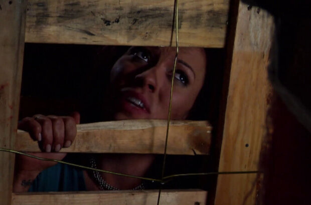The Cellar Door (2007) - photo 3