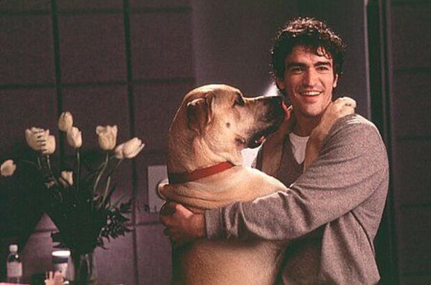 The Truth About Cats & Dogs (1996) - photo 1