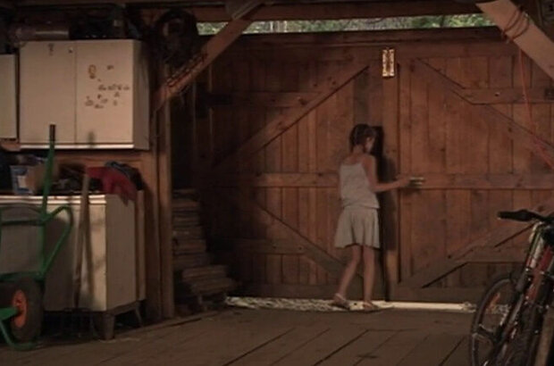 Chuzhoy v dome (2010) - photo 3