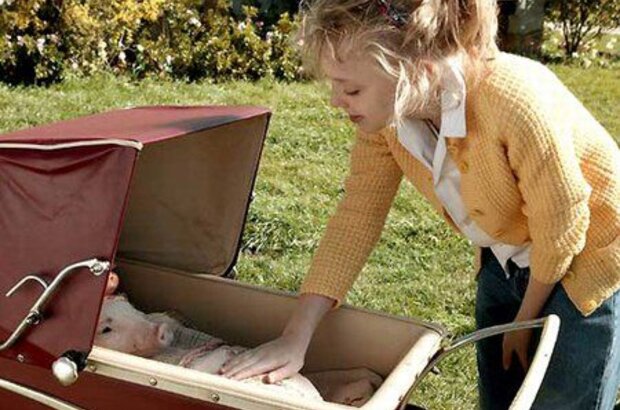 Charlotte's Web (2006) - photo 5