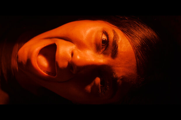 It Lives Inside (2023) - photo 1
