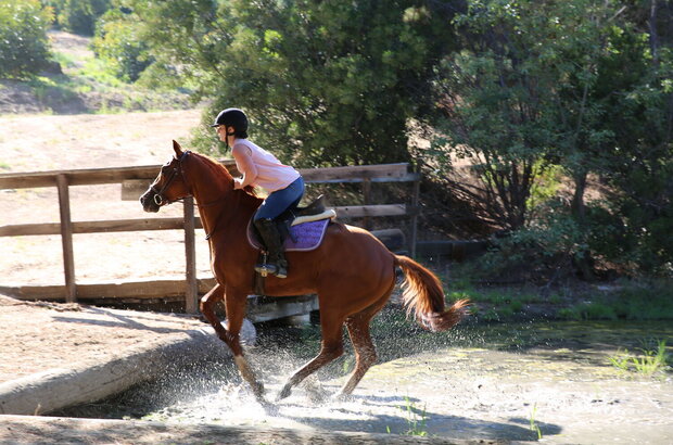 Destined to Ride (2018) - photo 1