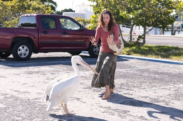 Dolphin Tale (2011) - photo 17