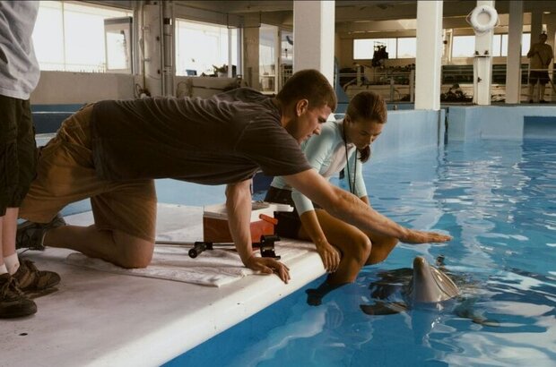 Dolphin Tale (2011) - photo 21