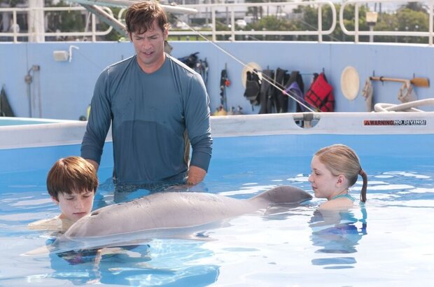 Dolphin Tale (2011) - photo 18