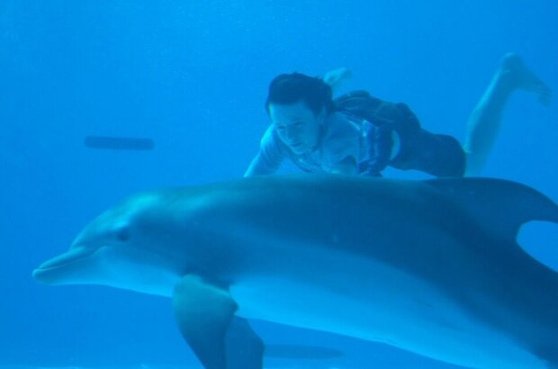 Dolphin Tale (2011) - photo 3