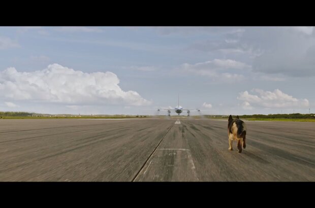 A Dog Named Palma (2020) - photo 13