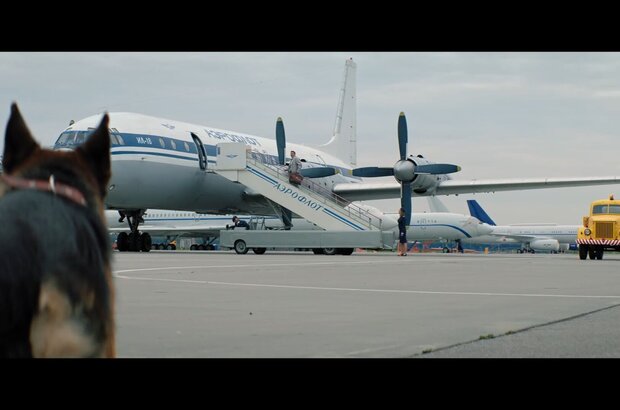 A Dog Named Palma (2020) - photo 3