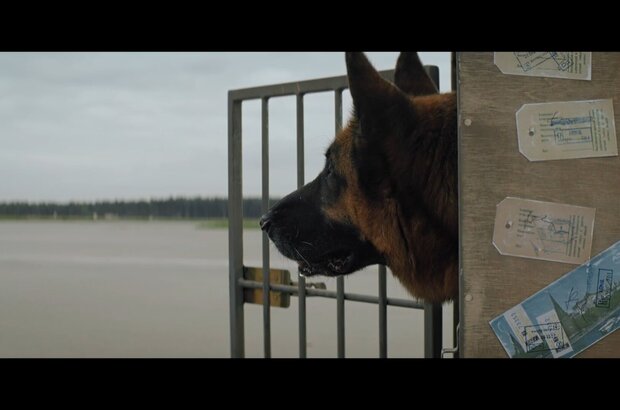 A Dog Named Palma (2020) - photo 5