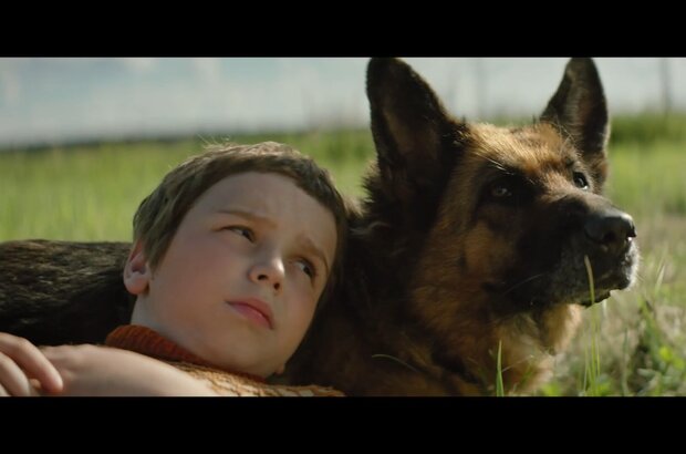 A Dog Named Palma (2020) - photo 10