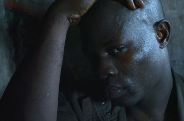 Elephant White (2010) - photo 7