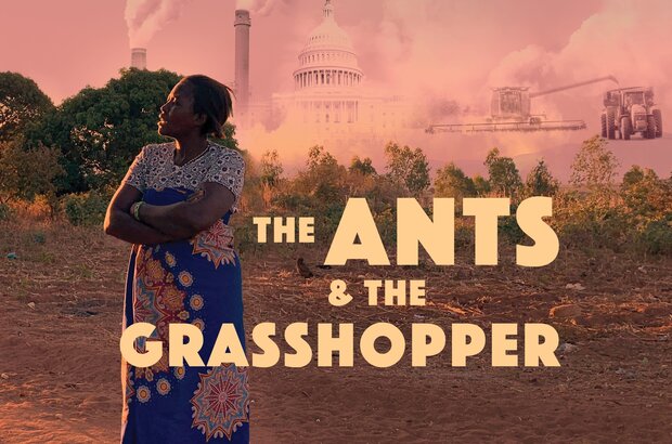 The Ants & the Grasshopper (2021) - photo 1