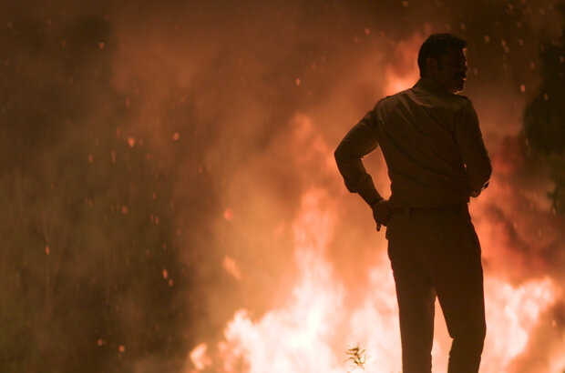 Monkey Man (2024) - photo 3