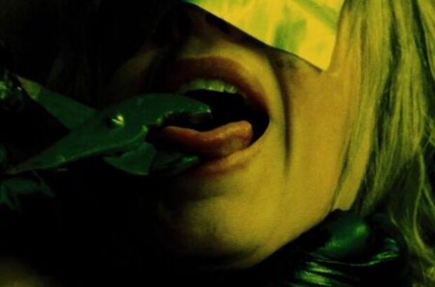 The Collector (2009) - photo 8