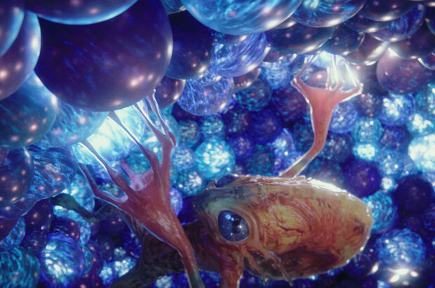 Valerian and the City of a Thousand Planets (2017) - photo 18
