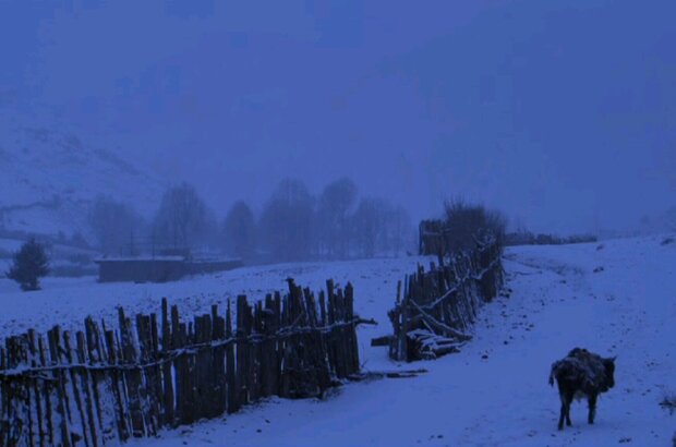 Paths of the Soul (2015) - photo 5