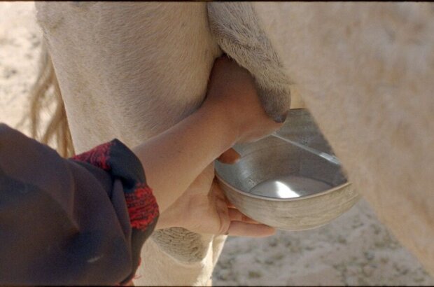 Beduin (2011) - photo 16