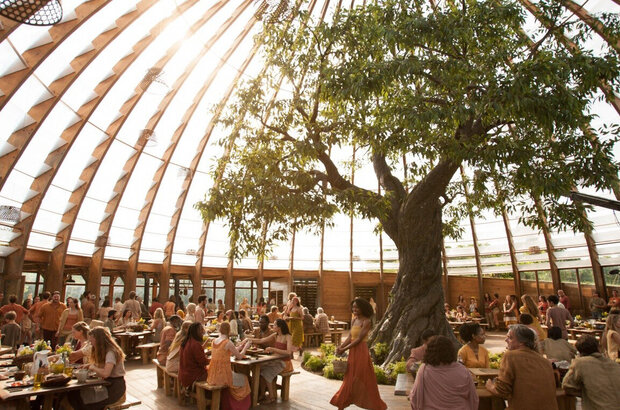 Insurgent (2015) - photo 14